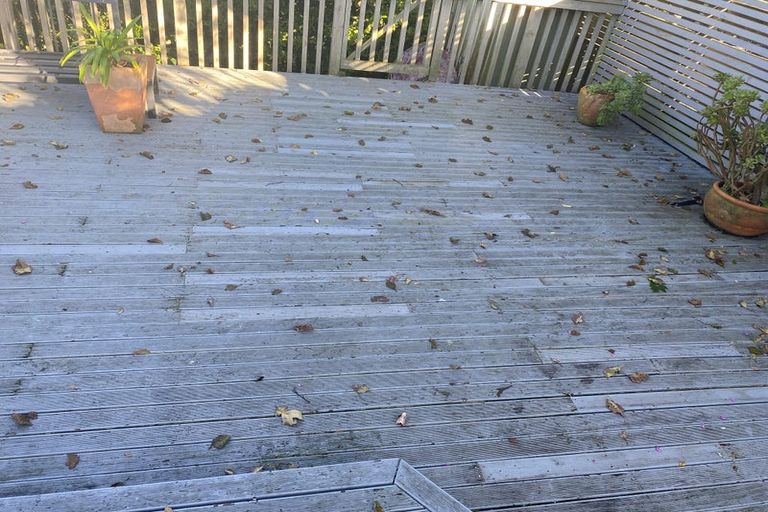 Photo of property in 30 Coromandel Street, Newtown, Wellington, 6021