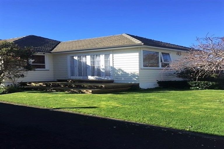 Photo of property in 29 Epuni Street, Hutt Central, Lower Hutt, 5011
