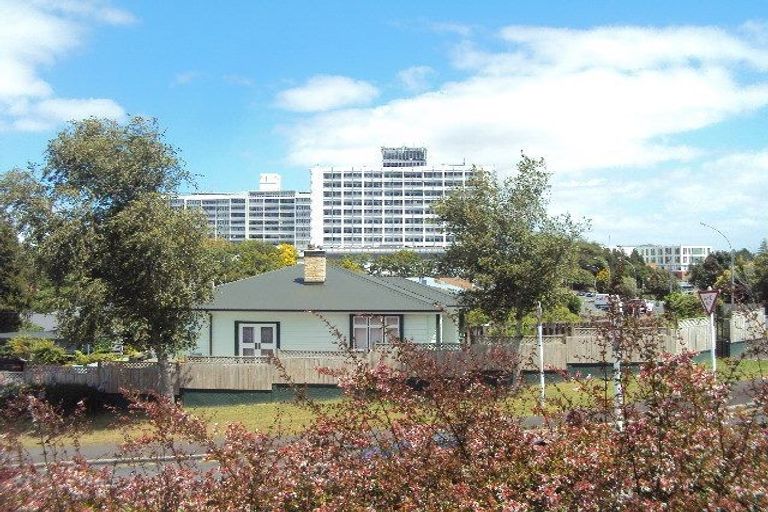 Photo of property in 113 Pembroke Street, Hamilton Lake, Hamilton, 3204