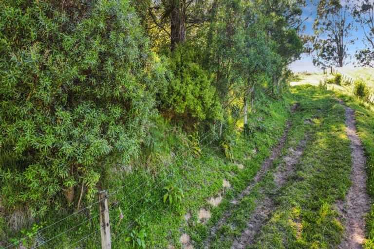 Photo of property in 109 Mcivor Road, Rotoma, Whakatane, 3192