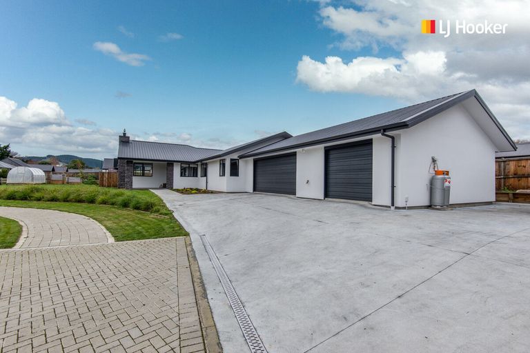 Photo of property in 17 Rodeo Place, Outram, 9019