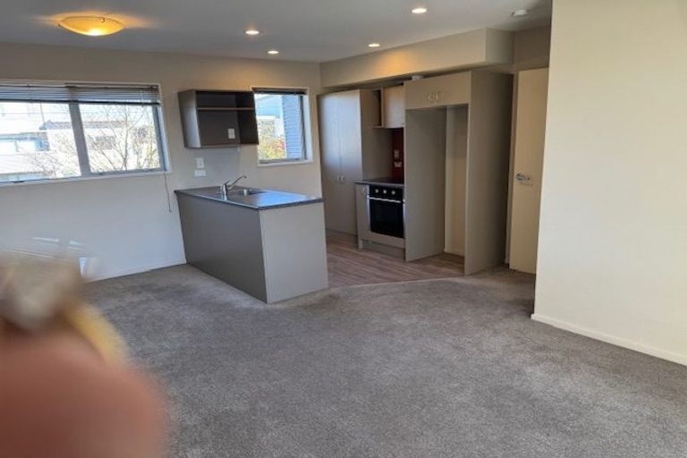 Photo of property in 141 Purchas Street, Edgeware, Christchurch, 8013