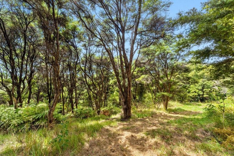 Photo of property in 379 Muriwai Road, Waimauku, 0881