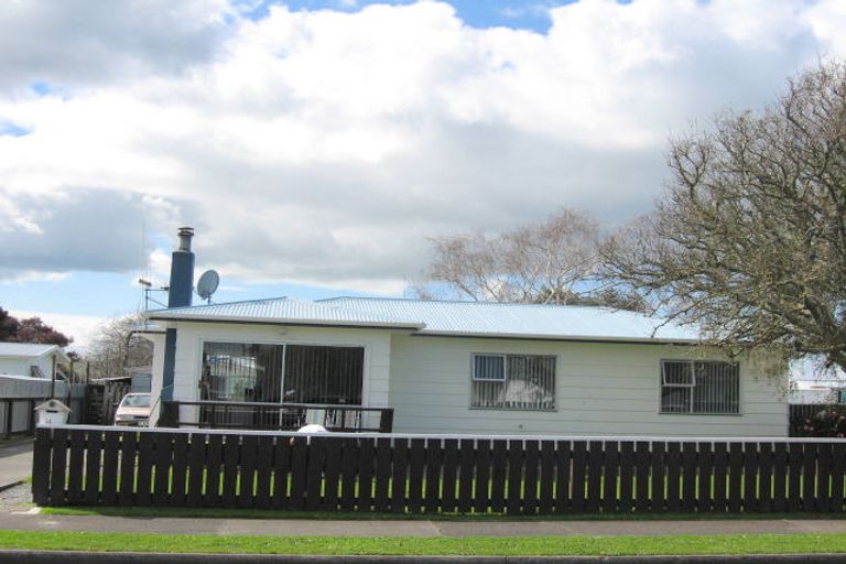 Photo of property in 25 Braemar Street, Levin, 5510