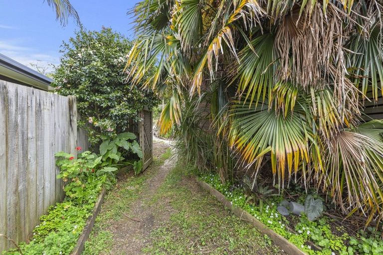 Photo of property in 13 Tutchen Avenue, Raglan, 3225