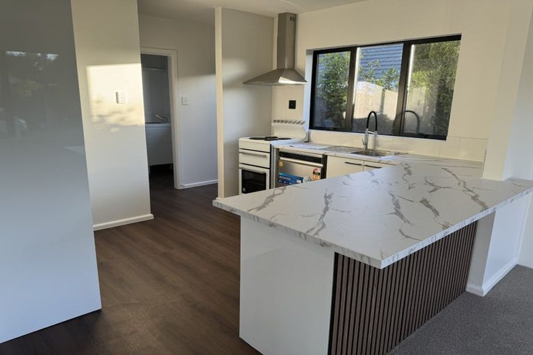 Photo of property in 37 Springbank Street, Bryndwr, Christchurch, 8053