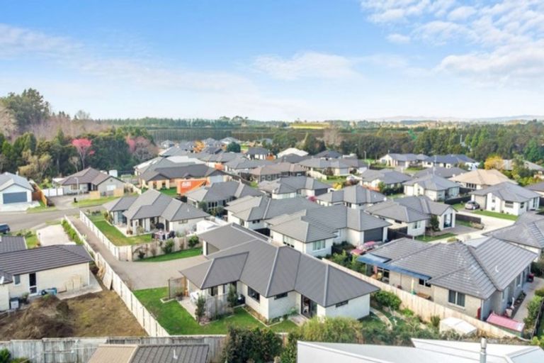 Photo of property in 11 Nolan Place, Katikati, 3129