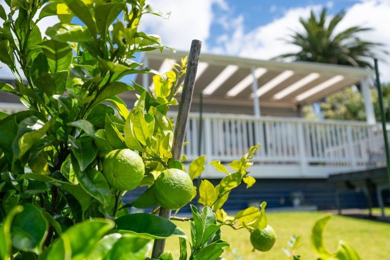 Photo of property in 109b King Street, Hikurangi, 0114