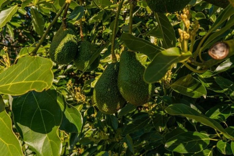 Photo of property in 49 Main Sh25 Road, Tairua, 3579