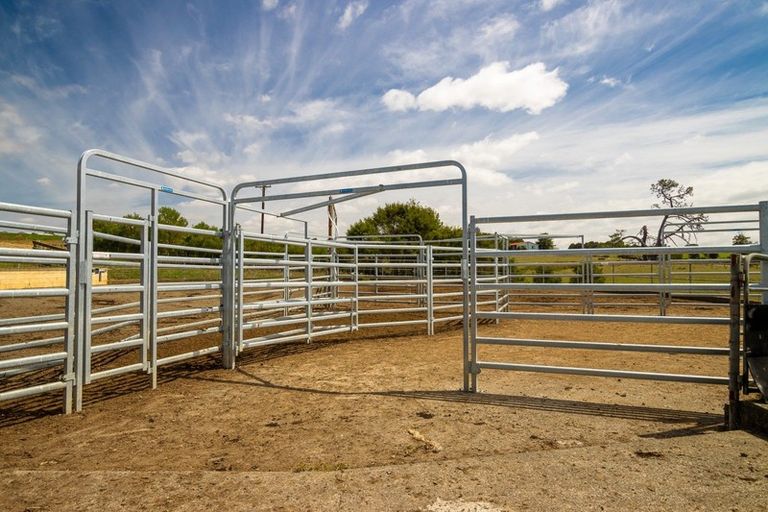 Photo of property in 376 Clark And Denize Road, Pukekawa, 2696