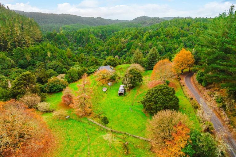 Photo of property in 2005 Ongarue Stream Road, Waimiha, 3998