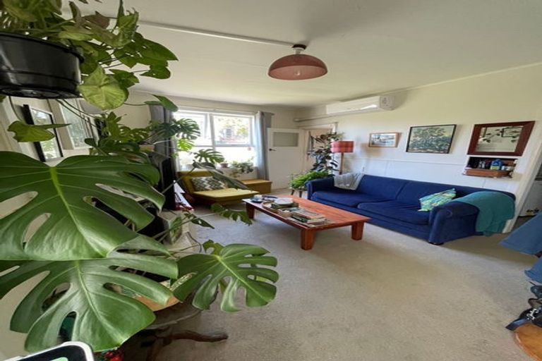 Photo of property in 23 Nairn Street, Mount Cook, Wellington, 6011