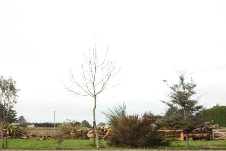 Photo of property in 667 Queens Drive, Waikiwi, Invercargill, 9810