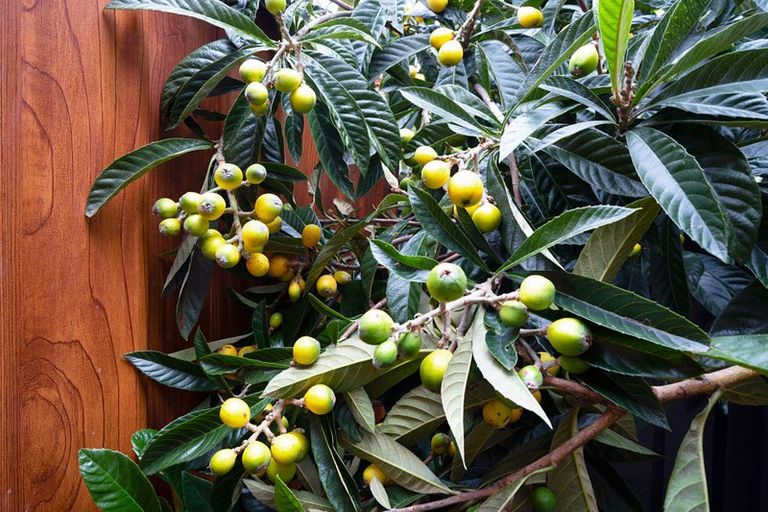 Photo of property in 1/33 Matuhi Rise, Henderson, Auckland, 0612