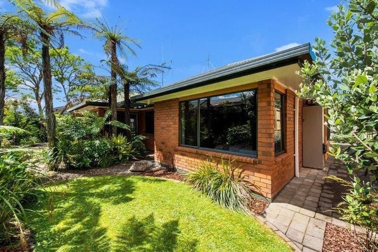 Photo of property in 8a Hammond Street, Hamilton Central, Hamilton, 3204