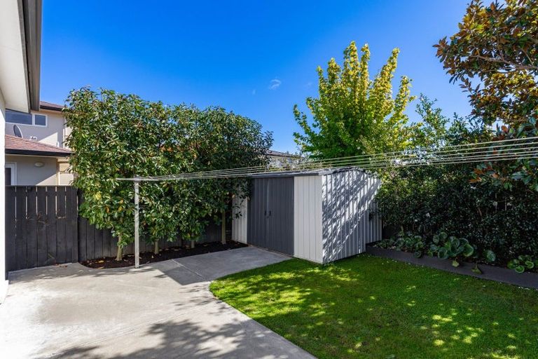 Photo of property in 8 Covent Gardens, Springlands, Blenheim, 7201