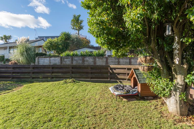 Photo of property in 333 Maungatapu Road, Maungatapu, Tauranga, 3112