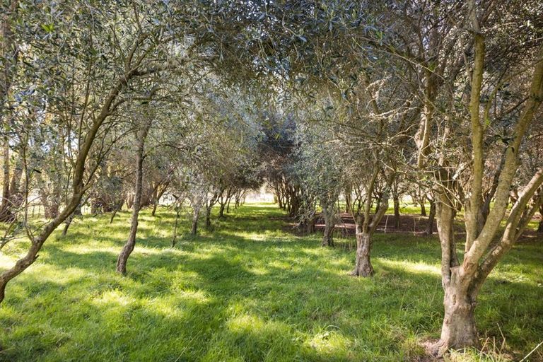 Photo of property in 1633 State Highway 3, Awahuri, Palmerston North, 4476