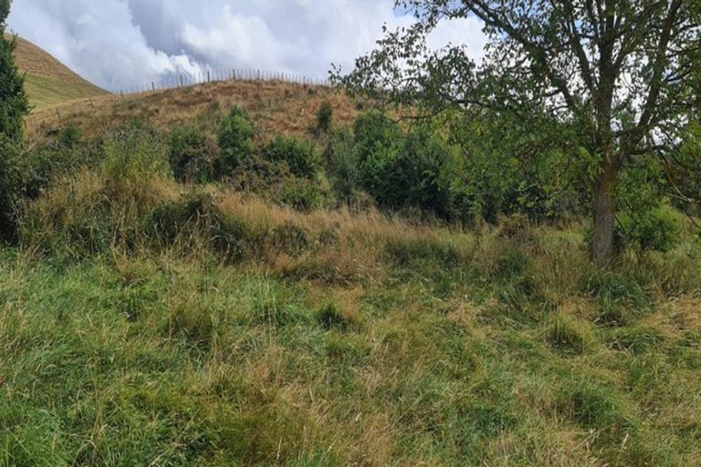 Photo of property in 2174 Rangiwahia Road, Rangiwahia, Kimbolton, 4774