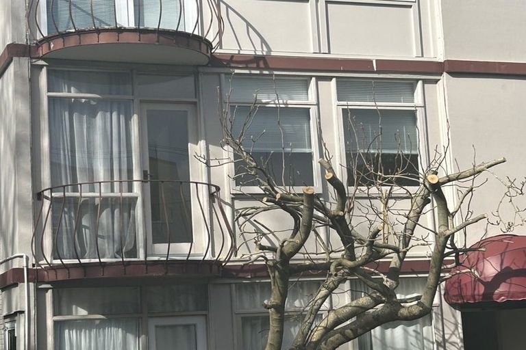 Photo of property in 4/58 Mountain Road, Epsom, Auckland, 1023