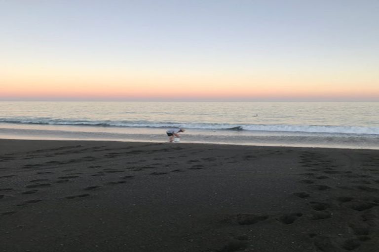 Photo of property in 223 Whirinaki Road, Eskdale, Napier, 4182