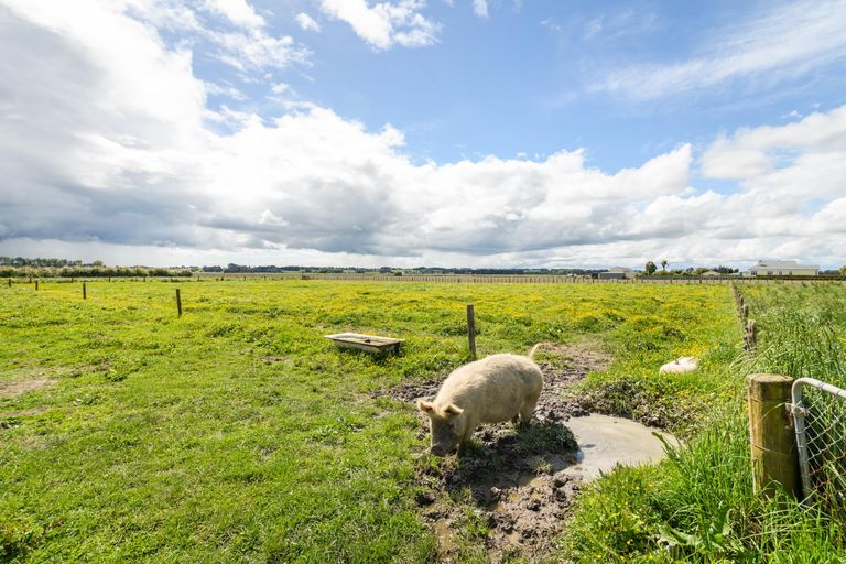 Photo of property in 436 Green Road, Rongotea, Palmerston North, 4476