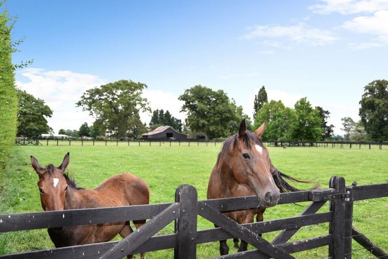 Photo of property in 427 Bruntwood Road, Tamahere, Cambridge, 3493