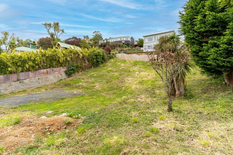 Photo of property in 32 Bellevue Place, Port Chalmers, 9023