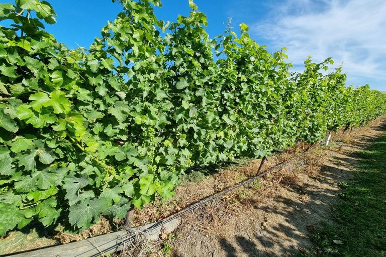 Photo of property in 344 Jones Road, Grovetown, Blenheim, 7273