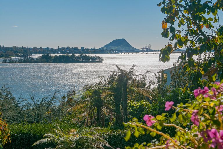 Photo of property in 9 Tutauanui Crescent, Maungatapu, Tauranga, 3112