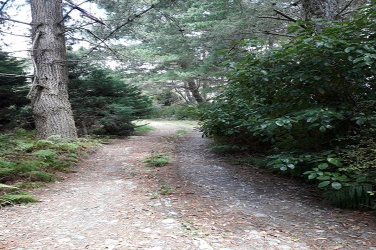 Photo of property in 332 Kaniere Road, Kaniere, Hokitika, 7811