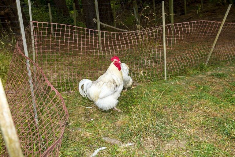 Photo of property in 91 Katherine Mansfield Drive, Whitemans Valley, Upper Hutt, 5371