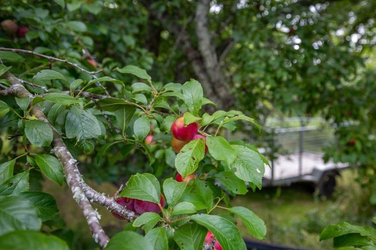 Photo of property in 22a Ngati Maru Sh25 Highway, Kopu, Thames, 3578