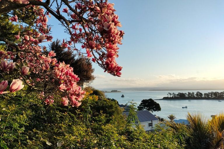 Photo of property in 11 Fifeshire Crescent, Stepneyville, Nelson, 7010