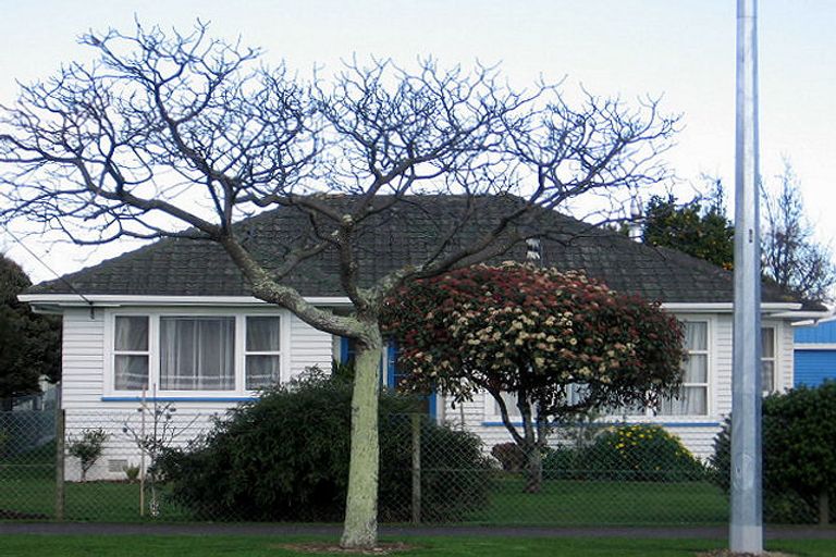 Photo of property in 147 Queen Street West, Levin, 5510