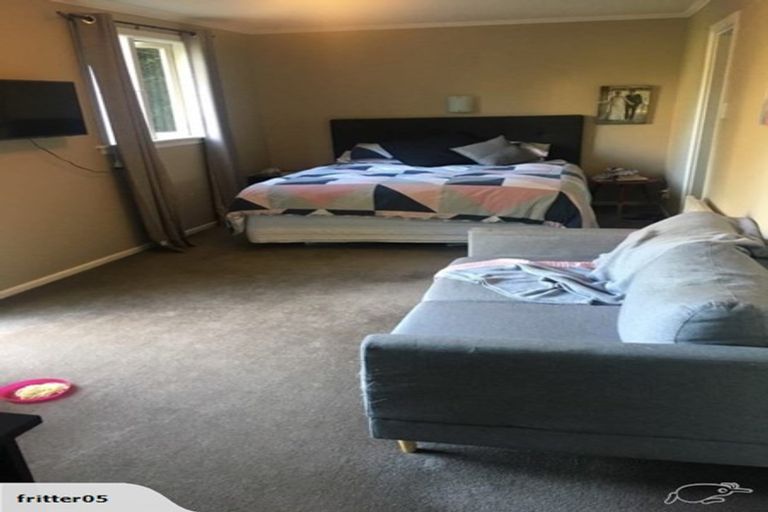 Photo of property in 25 Mccoll Street, Vogeltown, Wellington, 6021