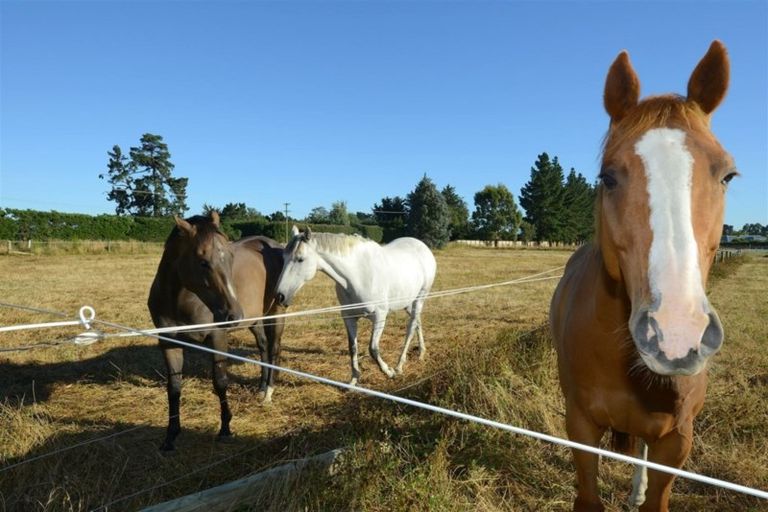 Photo of property in 860 Two Chain Road, Swannanoa, Rangiora, 7475