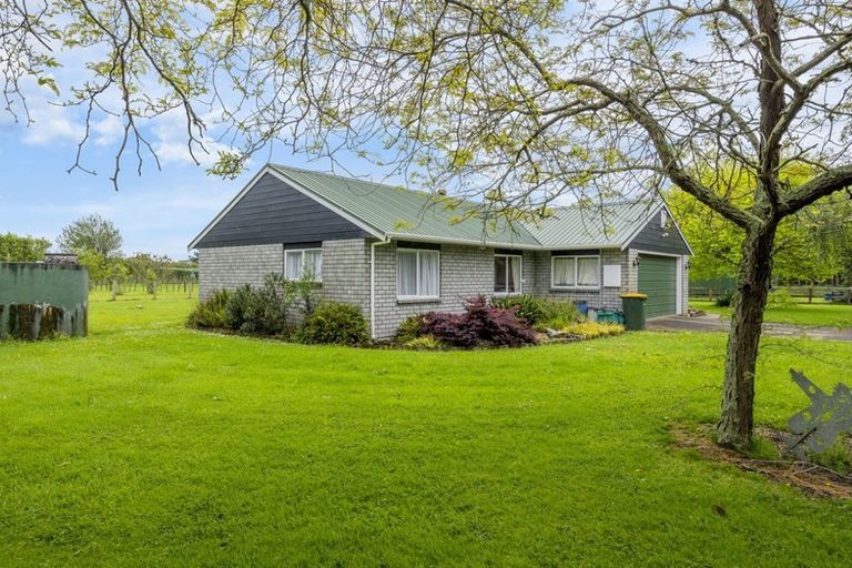 Photo of property in 71 Whelans Road, Levin, 5571