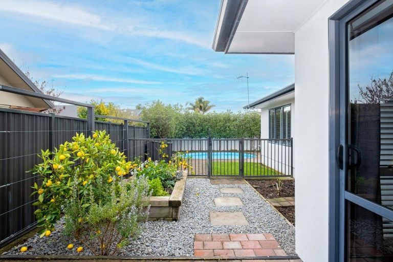Photo of property in 55 Palmbrook Avenue, Havelock North, 4130