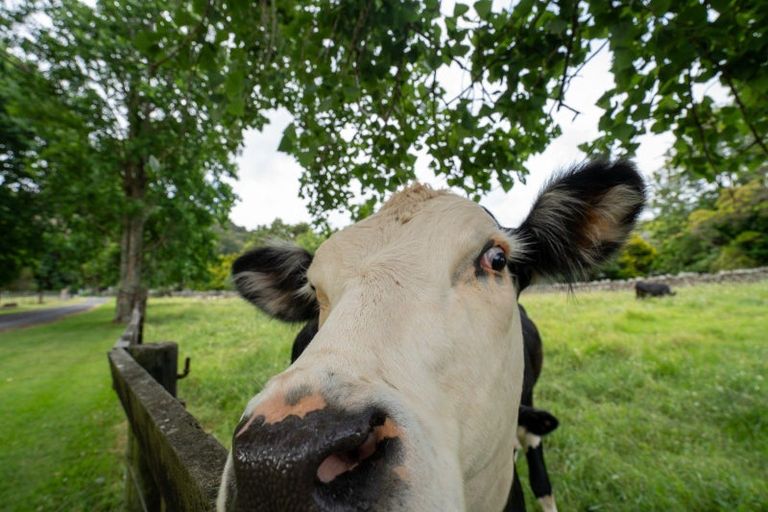 Photo of property in 524 Ngunguru Road, Glenbervie, Whangarei, 0173