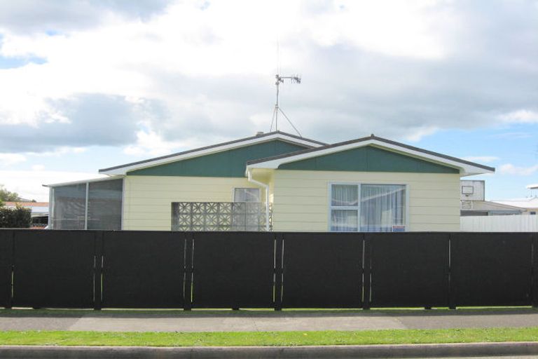 Photo of property in 23 Braemar Street, Levin, 5510