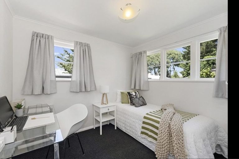 Photo of property in 141 Rimu Street, Maeroa, Hamilton, 3200