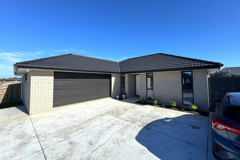 Photo of property in 45 Accolade Street, Feilding, 4702