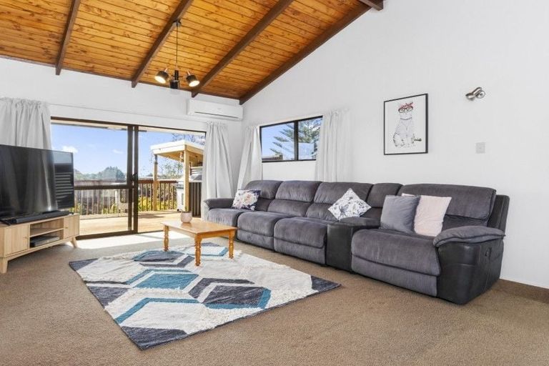 Photo of property in 47 Winchester Terrace, Bethlehem, Tauranga, 3110