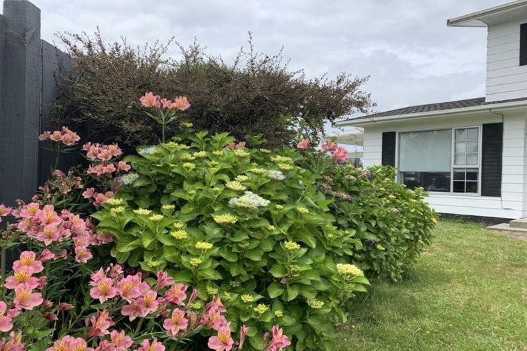 Photo of property in 24 De Vere Crescent, Chartwell, Hamilton, 3210