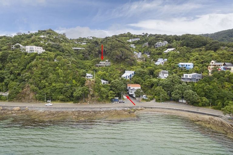 Photo of property in 125c Marine Drive, Sorrento Bay, Lower Hutt, 5013
