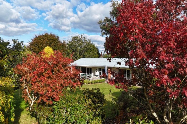 Photo of property in 43 Penmoral Lane, Lower Kaimai, Tauranga, 3171