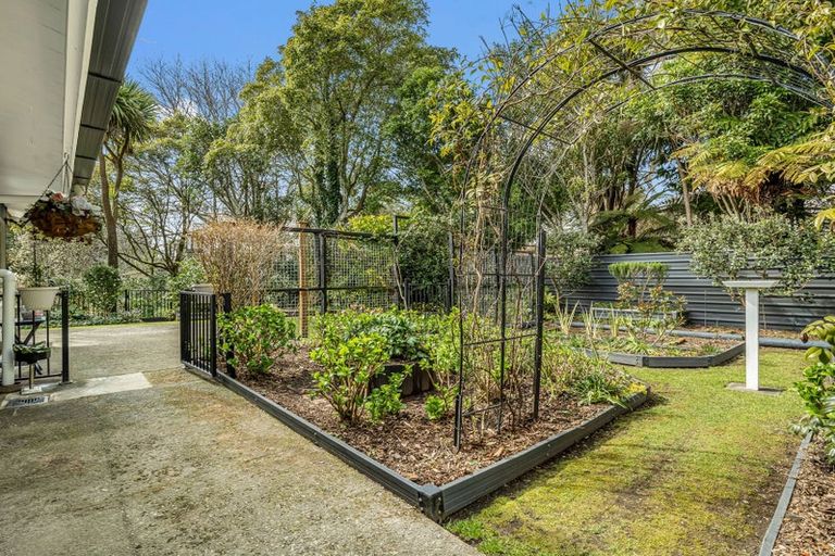 Photo of property in 358 Sunset Road, Sunnybrook, Rotorua, 3015