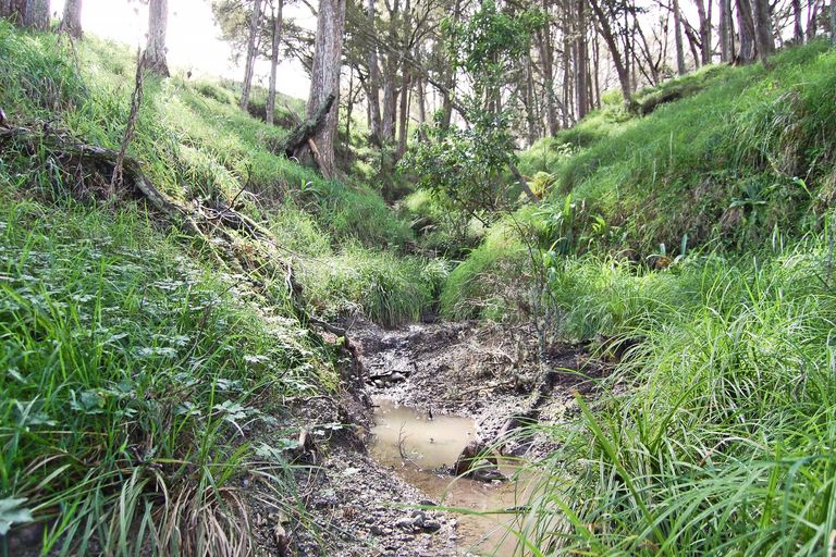 Photo of property in 210g Pukenui Road, Kaiwaka, 0573