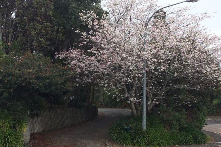 Photo of property in 38 Omokoroa Road, Omokoroa, 3114